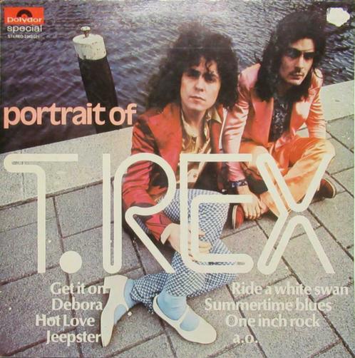 T. Rex – Portret van T. Rex, Cd's en Dvd's, Vinyl | R&B en Soul, Gebruikt, Ophalen