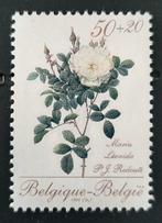 België: OBP 2355 ** Promotie van de filatelie II 1990., Ophalen of Verzenden, Zonder stempel, Frankeerzegel, Postfris