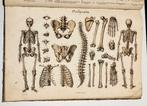 Anatomie Methodique ou Organographie Humaine 1829 15 Platen, Antiquités & Art, Enlèvement ou Envoi