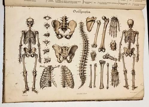 Anatomie Methodique ou Organographie Humaine 1829 15 Platen, Antiek en Kunst, Antiek | Boeken en Manuscripten, Ophalen of Verzenden