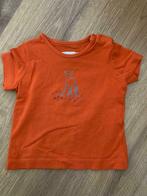 P’tit Filou t-shirt mt 74, Kinderen en Baby's, Babykleding | Maat 74, Meisje, Filou, Shirtje of Longsleeve, Ophalen of Verzenden