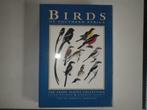Oiseaux d'Afrique australe; la collection d'assiettes sasol, Enlèvement, Utilisé, Oiseaux