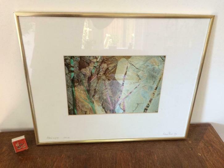 Lars Bech photomicrography organisch turquoise modern kunst, Antiek en Kunst, Kunst | Tekeningen en Fotografie, Ophalen of Verzenden