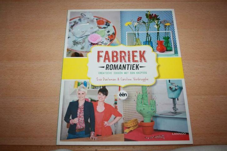 NIEUW / Fabriek – Romantiek  Eva Daeleman & Caroline Verbrug, Boeken, Hobby en Vrije tijd, Nieuw, Overige onderwerpen, Ophalen of Verzenden