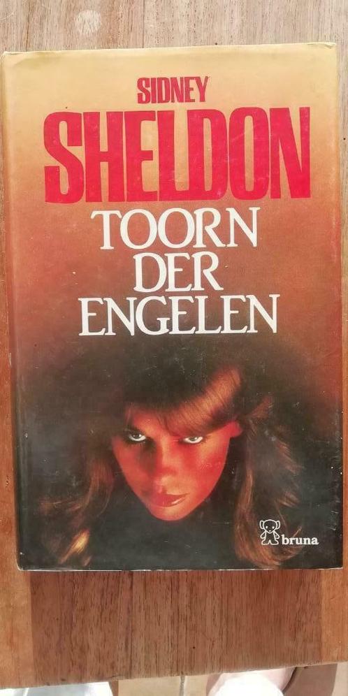 Toorn der engelen, Boeken, Romans, Zo goed als nieuw, Wereld overig, Ophalen of Verzenden