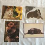 4 ongelopen hond- kat- poes postkaarten thema, Verzamelen, Postkaarten | Dieren, Ongelopen, Ophalen of Verzenden