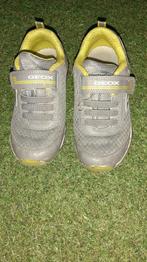 Baskets Geox, Garçon, Enlèvement, Utilisé, Autres types