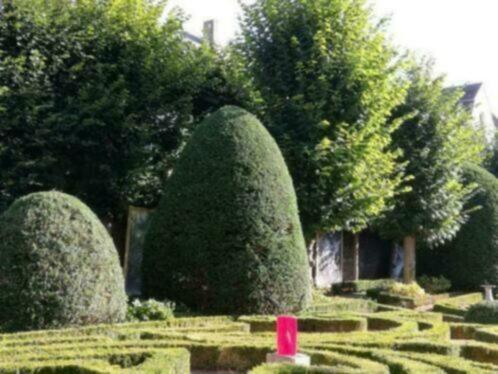 Jardinier professionnel à bas prix., Tuin en Terras, Planten | Bomen, Ophalen