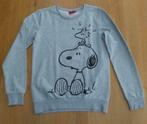 Dames sweater Snoopy - XS - prima staat, Gedragen, Grijs, Maat 34 (XS) of kleiner, Ophalen of Verzenden