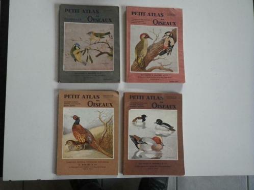 Oiseaux, Petit Atlas, Boeken, Dieren en Huisdieren, Gelezen, Vogels, Ophalen