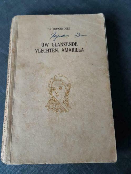 Uw glanzende vlechten, Amarilla – F.R. Boschvogel, Livres, Romans historiques, Utilisé, Enlèvement ou Envoi