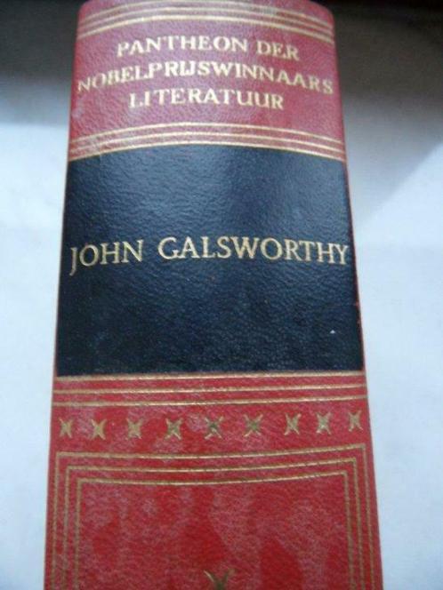 John Galsworthy, Mister Forsytes verlossing, Boeken, Literatuur, Gelezen, Europa overig, Ophalen of Verzenden