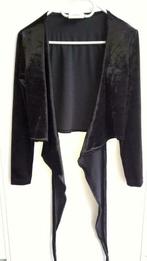 Velour vest met binders  : In Wear, Comme neuf, Taille 36 (S), In  wear, Noir