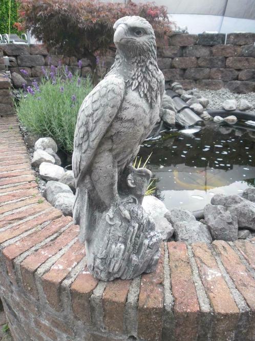 Aigle, Jardin & Terrasse, Statues de jardin, Neuf, Animal, Béton, Enlèvement