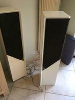 Class A speakers T+A  Criterion T 100