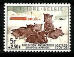 België 1957 Belgische Zuidpoolexpeditie OBP 1030**, Postzegels en Munten, Postzegels | Europa | België, Overig, Ophalen of Verzenden