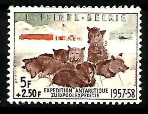 België 1957 Belgische Zuidpoolexpeditie OBP 1030**, Timbres & Monnaies, Timbres | Europe | Belgique, Non oblitéré, Gomme originale
