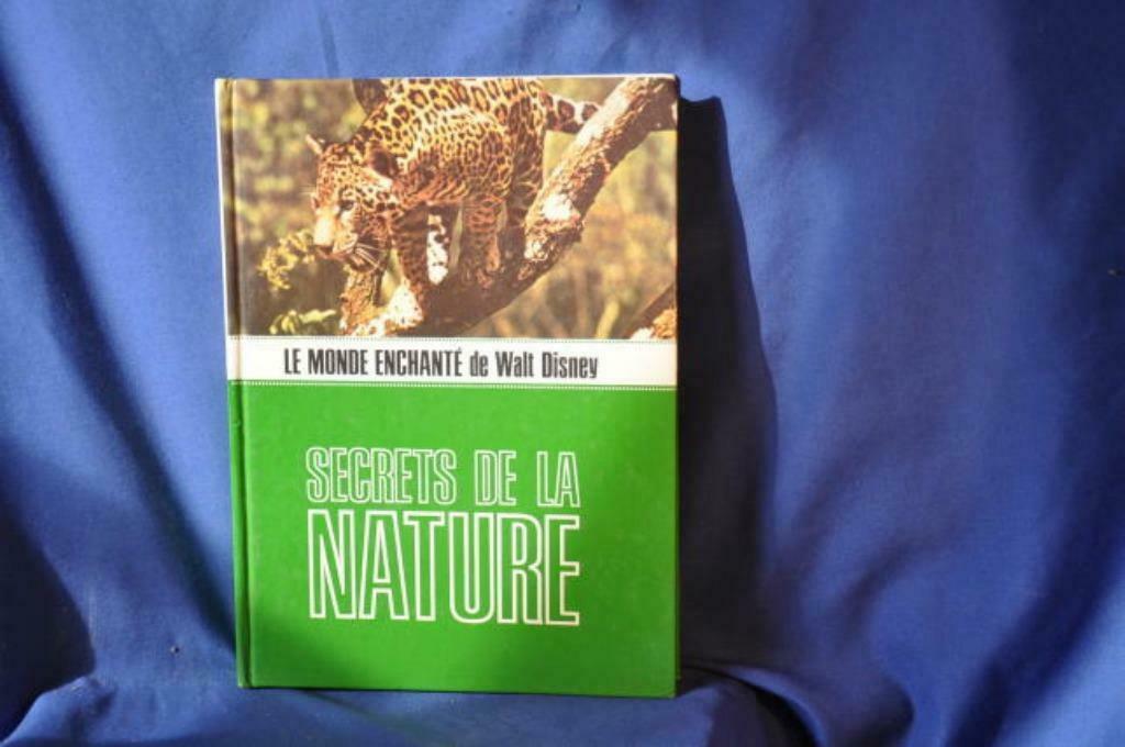 §livre  monde enchanté de walt disney secret de  nature (26), Livres, Garçon ou Fille, Enlèvement ou Envoi, Utilisé, 5 ou 6 ans
