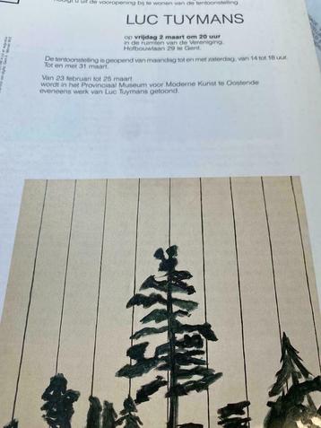 Catalogue de brochures Luc Tuymans, Enlèvement ou Envoi, Comme neuf, Peinture et dessin