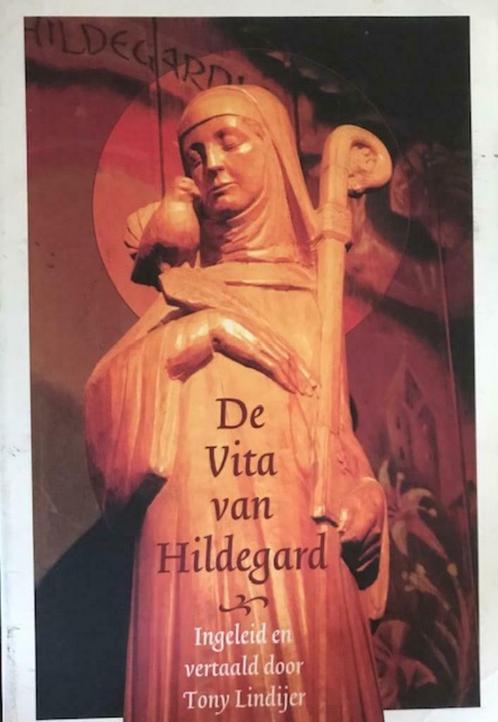De vita van Hildegrad, Boeken, Geschiedenis | Stad en Regio, Ophalen of Verzenden