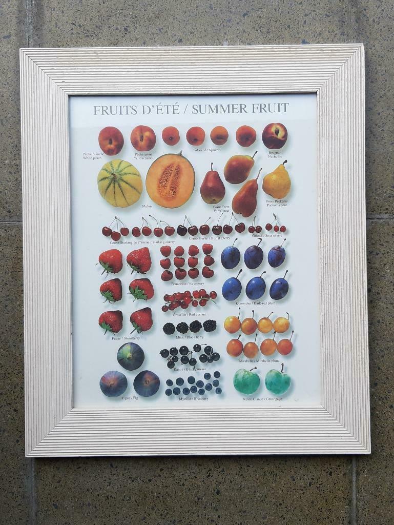 Cadre des fruits d'été, Moins de 50 cm, Enlèvement, Utilisé, Bois