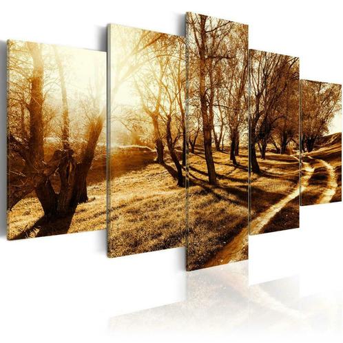 57 Natuur Pad Bomen 5 Luik Canvas Schilderij 200x100cm, Antiek en Kunst, Kunst | Schilderijen | Klassiek, Ophalen of Verzenden