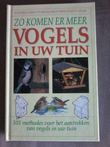 zo komen er vogels in uw tuin beschikbaar voor biedingen