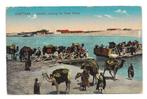 Kantara camels passing the Suez Canal, Ongelopen, Ophalen of Verzenden, Buiten Europa