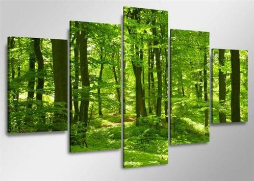 Nieuw * 5 Luik van Canvas * Green Forrest * 80x160cm, Huis en Inrichting, Woonaccessoires | Schilderijen, Tekeningen en Foto's