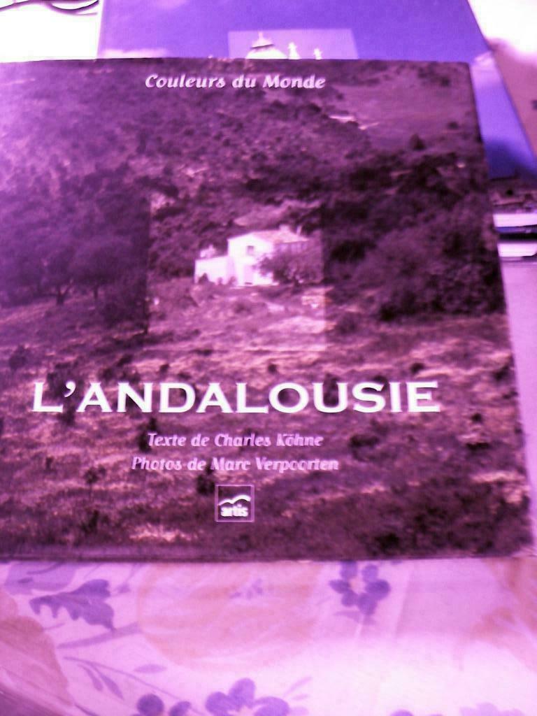 Livre Artis Historia - l'Andalousie, Enlèvement, Comme neuf
