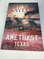 Boek / Steven Saylor - Amethyst Texas, Utilisé, Enlèvement ou Envoi