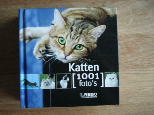 Katten 1001 foto’s, Boeken, Dieren en Huisdieren, Gelezen, Katten, Ophalen