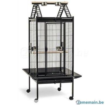Cage perroquet XXL voliere cage gris du gabon amazon NEUF