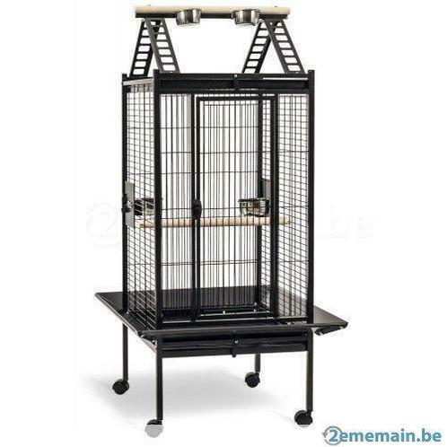 Cage perroquet XXL voliere cage gris du gabon amazon NEUF, Animaux & Accessoires, Oiseaux | Accessoires, Neuf, Envoi