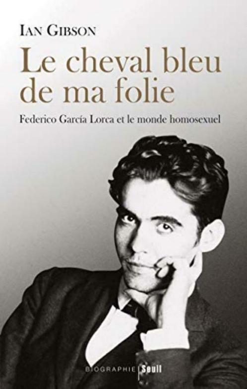 Federico García Lorca, Ian Gibson, Livres, Biographies, Comme neuf, Art et Culture, Enlèvement ou Envoi