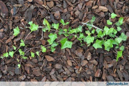 Boomschors, formaat 0/10 tot 40/65., Tuin en Terras, Overige Tuin en Terras, Nieuw, Ophalen