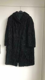 Astrakan mantel, Kleding | Dames, Ophalen of Verzenden, Zo goed als nieuw, Maat 46/48 (XL) of groter