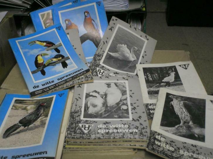 Magazine de Witte spreeuwen, Boeken, Tijdschriften en Kranten, Gelezen, Wetenschap en Natuur, Ophalen of Verzenden