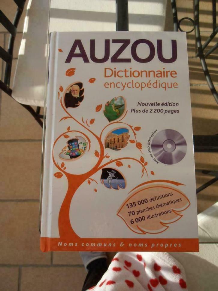 Dictionnaire encyclopédique "Auzou" (2013), Livres, Dictionnaires, Comme neuf, Français, Autres éditeurs, Enlèvement ou Envoi