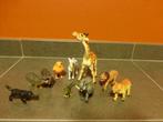 speelset wilde dieren, Ophalen