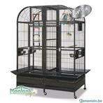 Cage ara cage cacatoex voliere perroquet cage perroquet XXL, Animaux & Accessoires, Envoi, Neuf