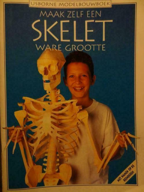 Maak zelf een skelet ware grootte / Usborne modelbouwboek, Livres, Livres pour enfants | Jeunesse | 13 ans et plus, Neuf, Non-fiction