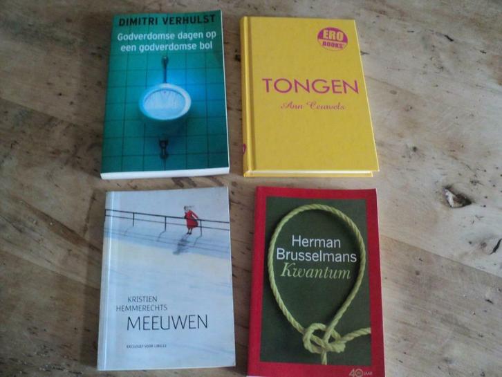 schrijvers van eigen bodem, Boeken, Overige Boeken, Zo goed als nieuw, Ophalen of Verzenden