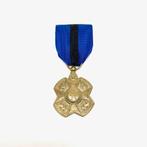Médaille d'Or de l'Ordre de Léopold II, Armée de terre, Enlèvement ou Envoi, Ruban, Médaille ou Ailes