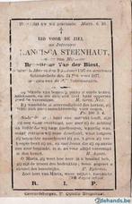 Doodsprentje STEENHAUT F - overleden in 1877, Utilisé, Envoi