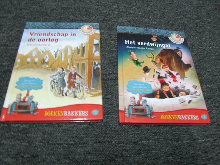 Boeken 'Vriendschap in oorlog' en 'Het verdwijngat', Boeken, Kinderboeken | Jeugd | 10 tot 12 jaar, Nieuw, Ophalen of Verzenden