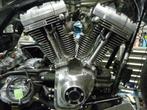 Une Harley-Davidson rapide et bien d'autres HD à Kees NL, Particulier, 1800 cm³, 2 cylindres, Tourisme