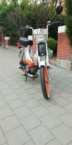 Honda Camino 50cc