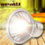 Lampe chauffante halogène 97% UVA + 3% UVB 75W, Dieren en Toebehoren, Nieuw, Verlichting, Ophalen
