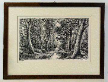 dessin de Luc De Pauw - Entrée de la forêt, Enlèvement ou Envoi
